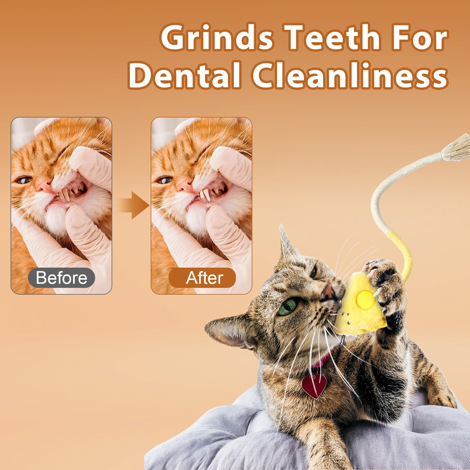 Hnjindong Catnip Toys for Cats Indoor Adult 4Pcs Bite Rope Cat Toys Interactive for Kitten Safe Teeth Cleaning Chew Cats Toy - Image 3