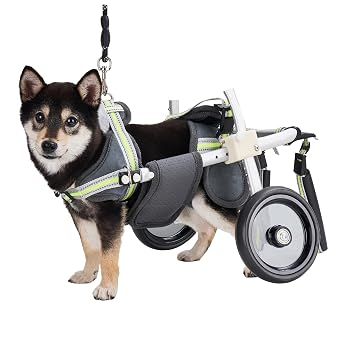 Wheels Dog Wheelchair-Dog Wheelchair for Back Legs-Adjustable Dog Cart,Pet/Doggie Wheelchairs with Disabled Hind Legs Walking,Light Weight,5 Size XS