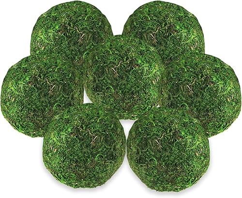 Bolas de musgo, globos de musgo de plantas verdes naturales para decoración verde, cuenco, cesta y jarrón para fiesta de boda, hechos a mano (3.5