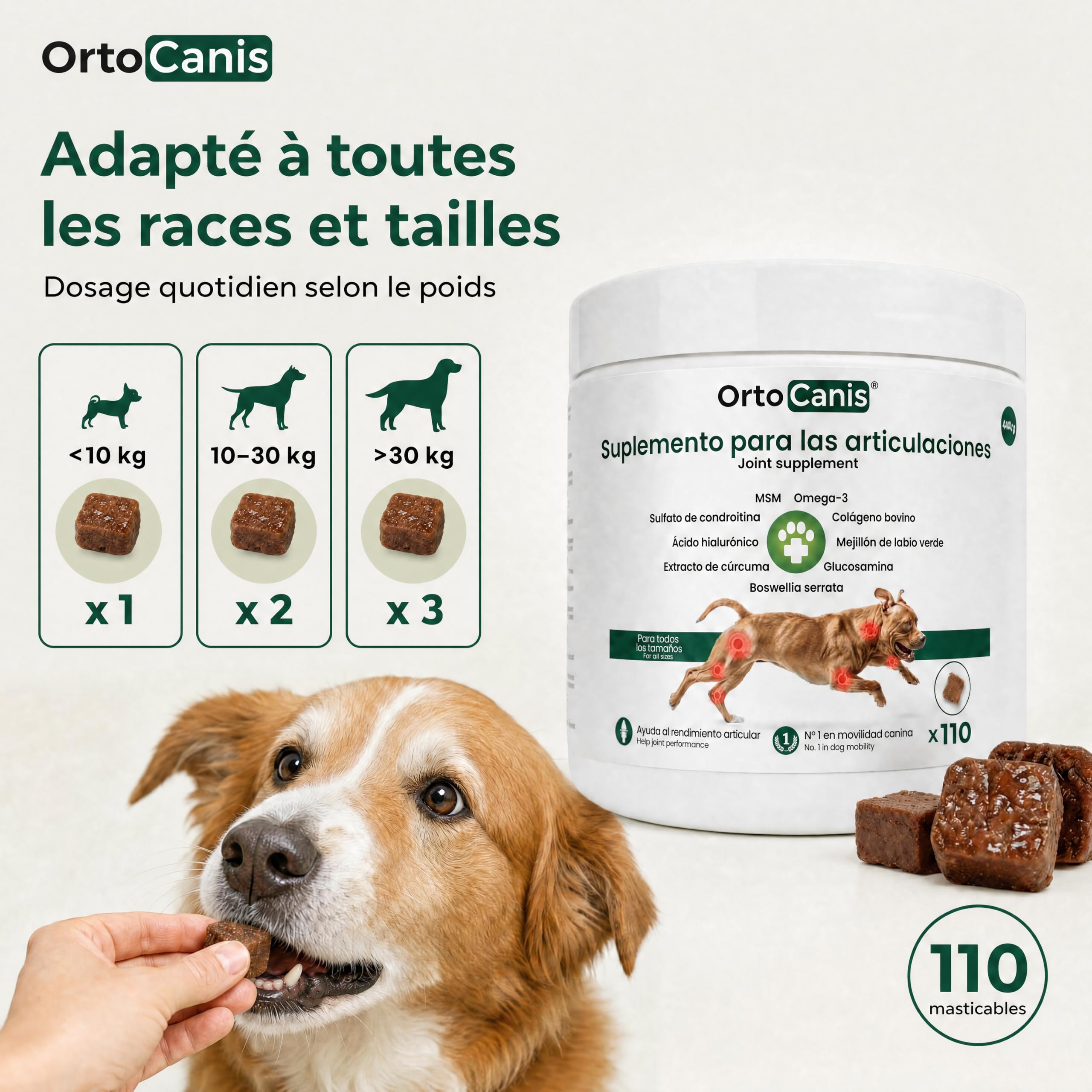 Supplément chondroprotecteur anti-inflammatoire pour chien Ortocanis - 13 ings. Actifs : glucosamine, chondroïtine, MSM, oméga-3 EPA + EVA, curcuma, boswellia serrata, collagène, vitamine E et C
