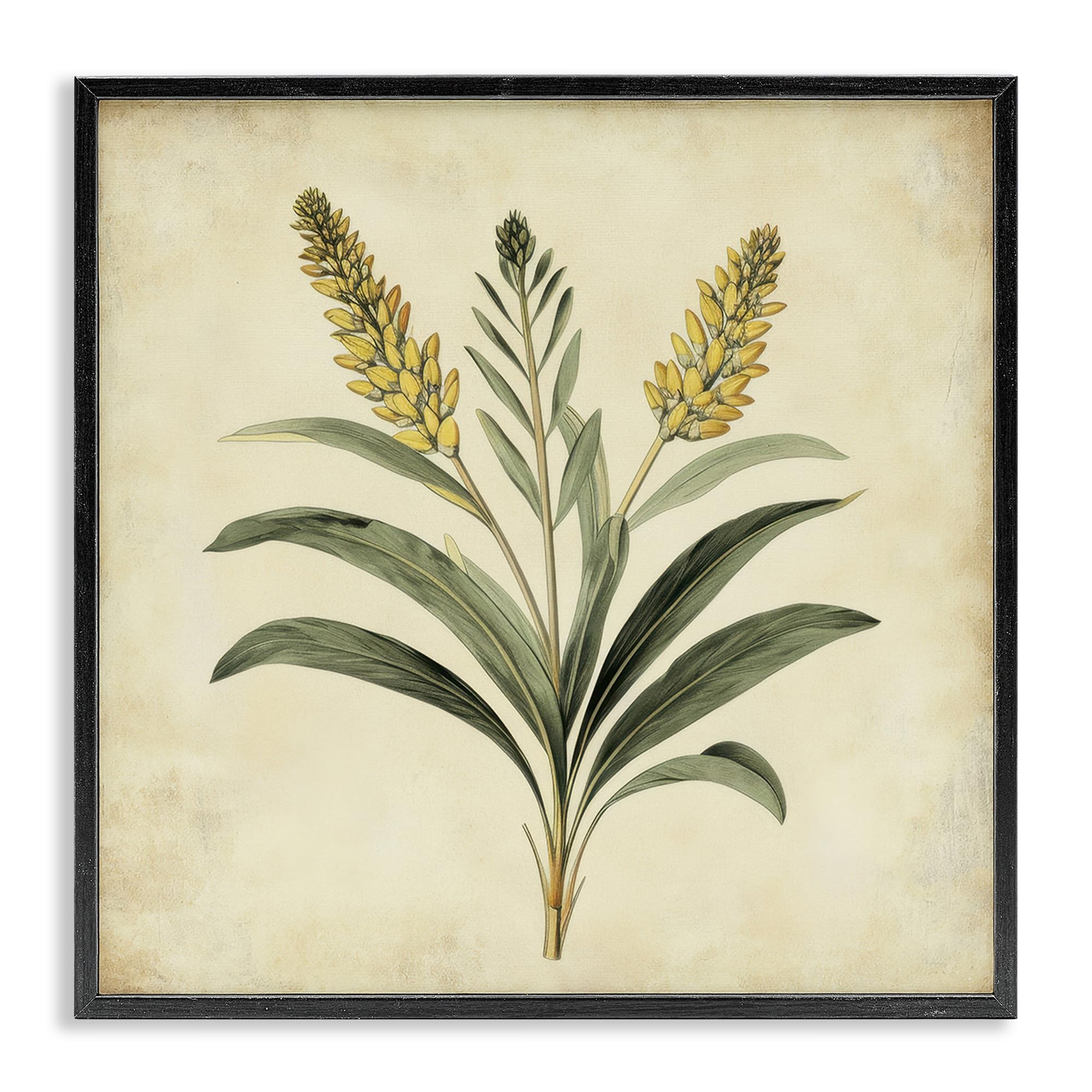 Illustration de blé jaune vintage pour sublimer la déco du salon