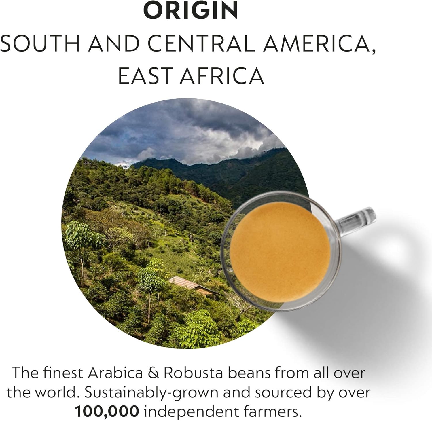 Ristretto Intenso Nespresso Capsules, 50 Count - Image 11