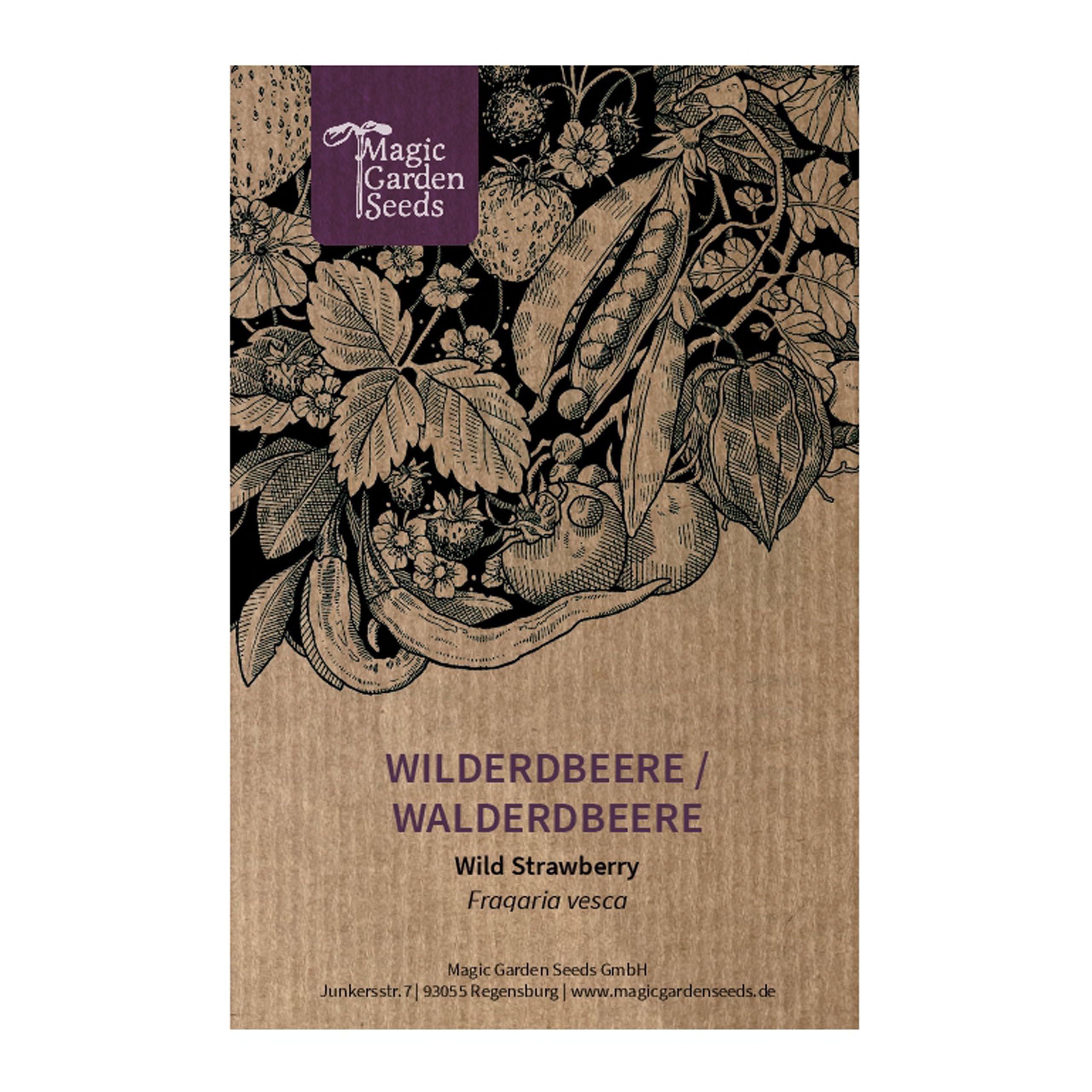 Magic Garden Seeds - Samentüte Wilderdbeere/Walderdbeere (Fragaria vesca) - ca. 300 Obstsamen - aromatische, alte Sorte - Obst samen - Garten Geschenk