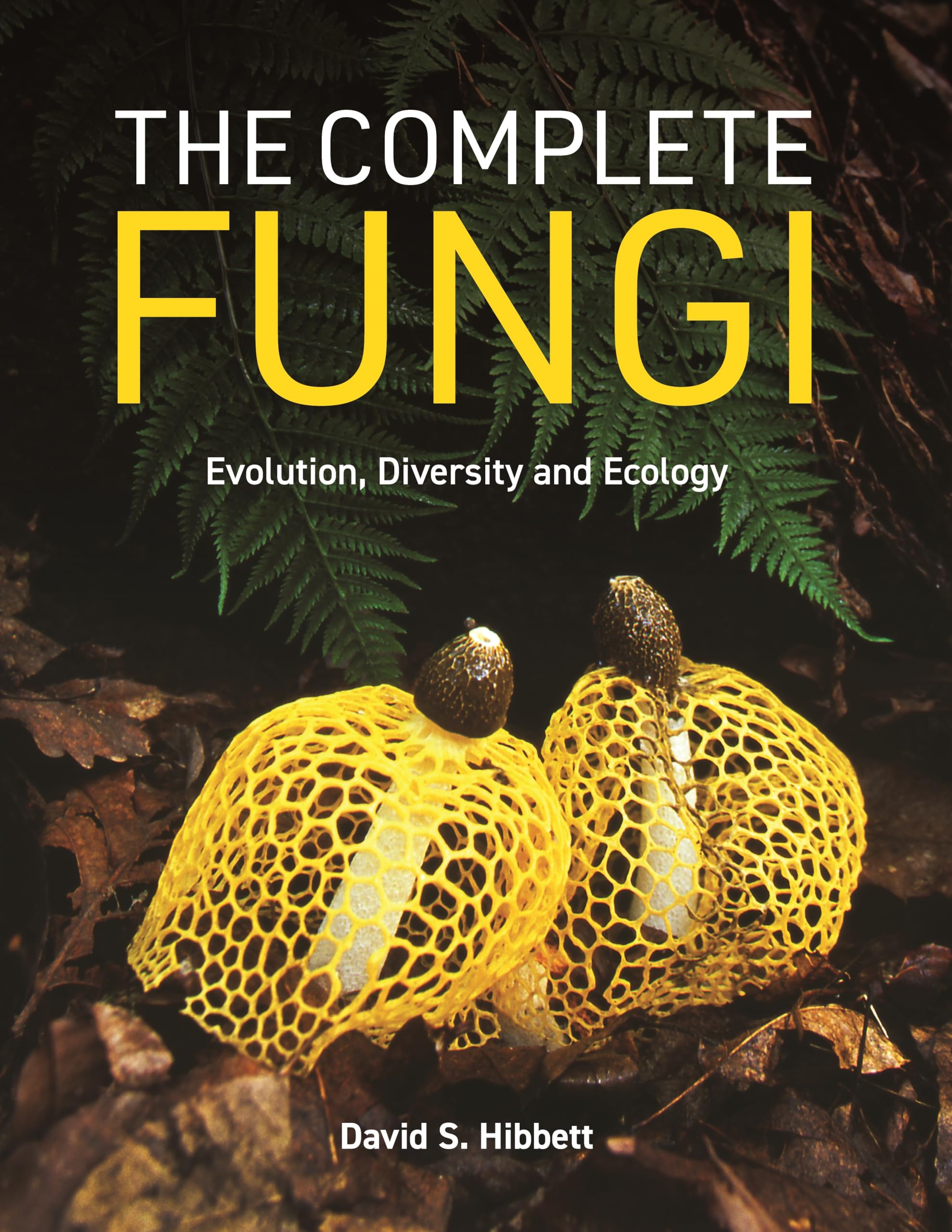 The World Of Fungi Evolution Diversity