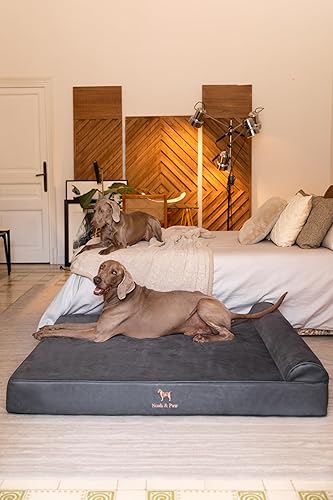 Miniatura 3 de NOAH & PAW Cama gigante para perros XXL de 55 x 45 x 11 pulgadas, camas ortopédicas para perros, espuma viscoelástica de cáscara de huevo con gel
