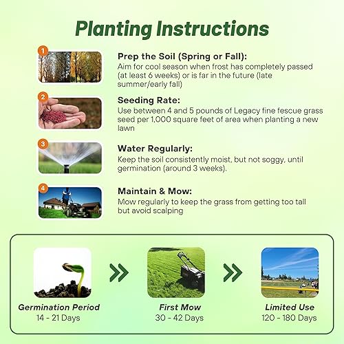 Miniatura 3 de Outsidepride Legacy Fine Fescue Shade Tolerante, suave, césped, mezcla de semillas de césped - 50 libras