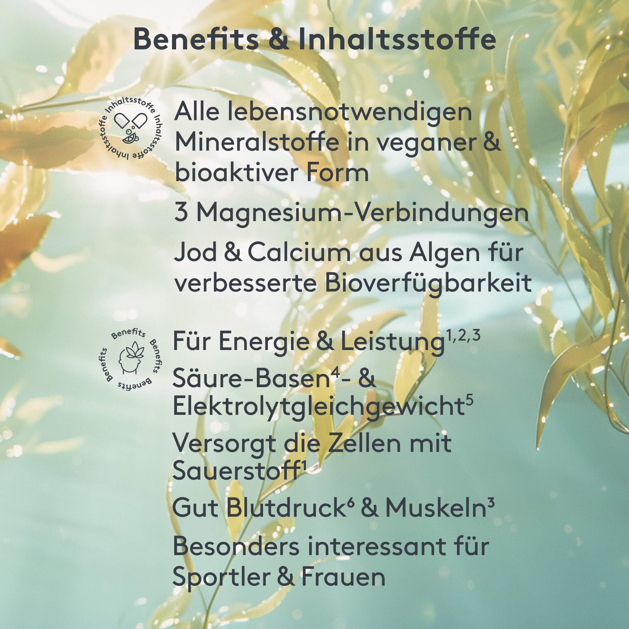 MITOcare Premium Minerale - Mineralstoffekomplex mit allen notwendigen Mineralien - Magnesium, Zink, Selen, Eisen, Bor & Glycin - vegan - Monatspackung mit 240 Kapseln - Produziert in Deutschland