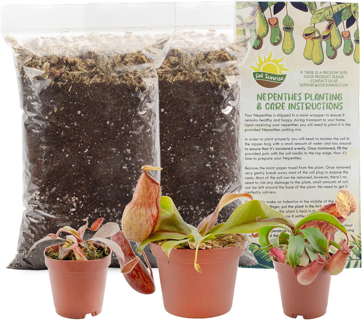 Live Pitcher Plant Variety Pack (3Plant Kit w/Pots and Potting Mix), Nepenthes