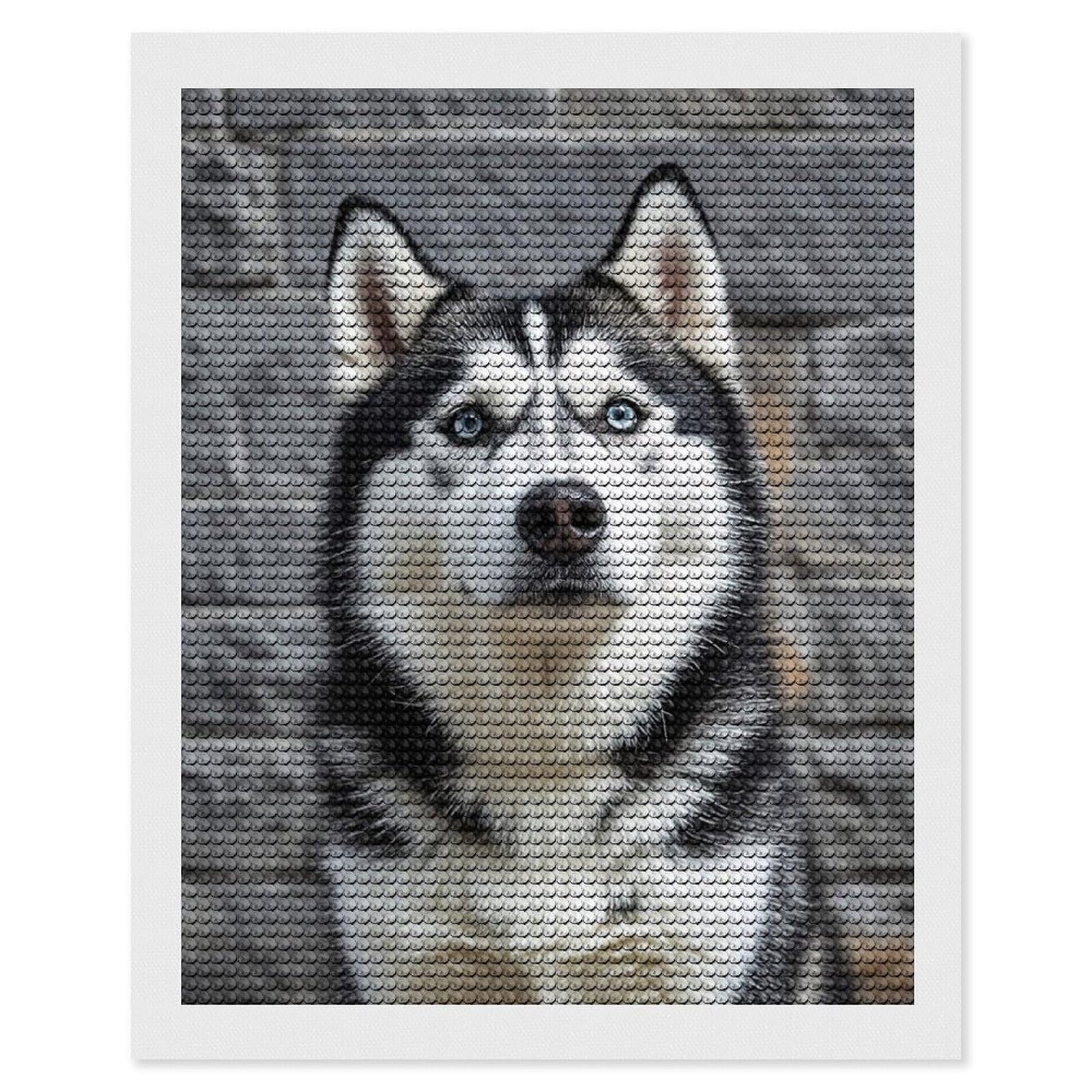 Ptura diamante 5D fai da te animale Husky immagine diamante pieno ricamo cane strass mosaico punto croce k decorazione mobili  15