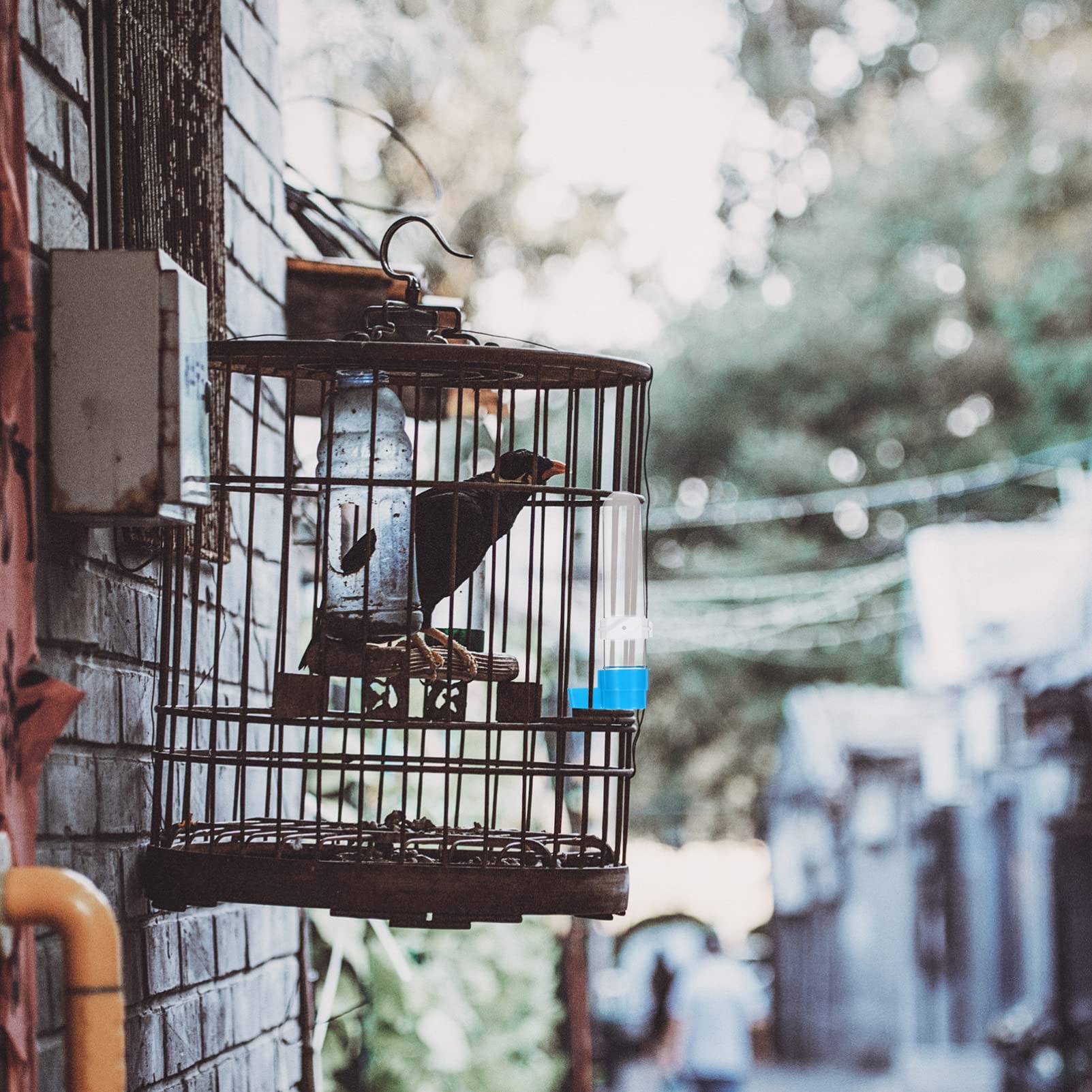 ABOOFAN 10piezas Bebedero Automático para Pájaros Botella De Agua para Diseño De Plástico Transparente y Base Azul para Jaulas De Aves