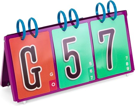 Royal Bingo Supplies EZ Readers Tabletop Bingo Number Calling Board, High-Visibility 4.5" Display for Senior Centers, Rec Halls, and Firehouse Bingo