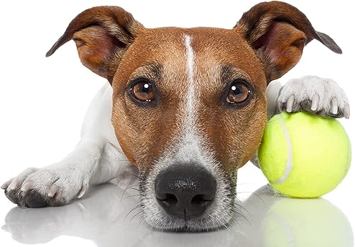 Miniatura 2 de VIV Pelotas de tenis avanzadas, 3 a más de 200 casos, pelotas de tenis de práctica de tamaño oficial, pelotas de juego para perros y mascotas.