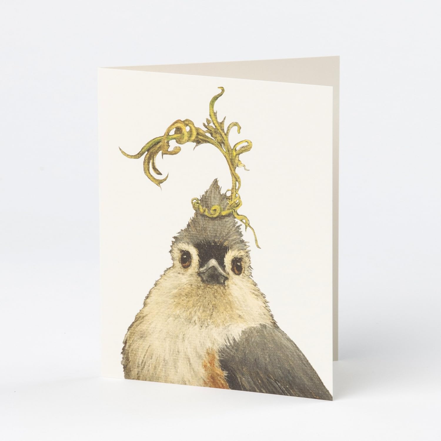 Kitchen Papers Greeting Card Box Set of 6 - Pencil Drawing Animal Design - All Occasions
