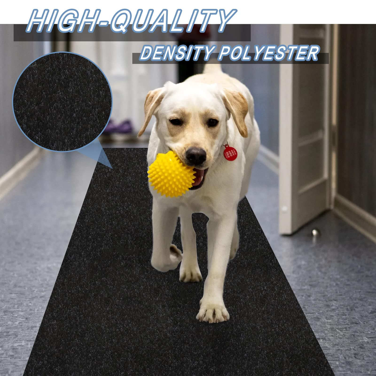 https://m.media-amazon.com/images/I/81phoI-mpPL.jpg