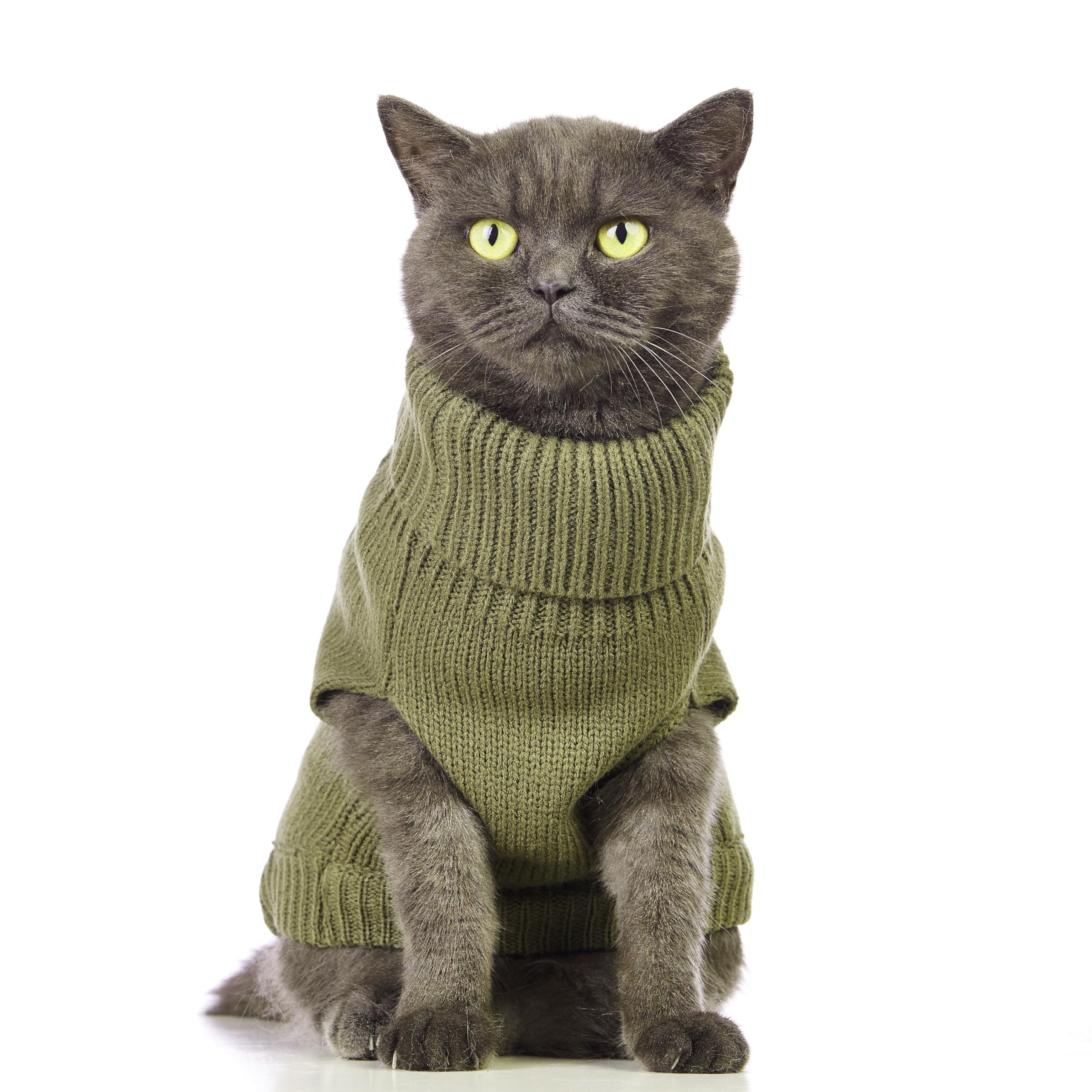 Jnancun Cat Sweater Keep Your Pets Cozy, 16 Color Turtleneck Knitted Sleeveless Cat Clothes, Winter Outfits for Cats & Small Dogs During Cold Seasons (Olive Green, Small)