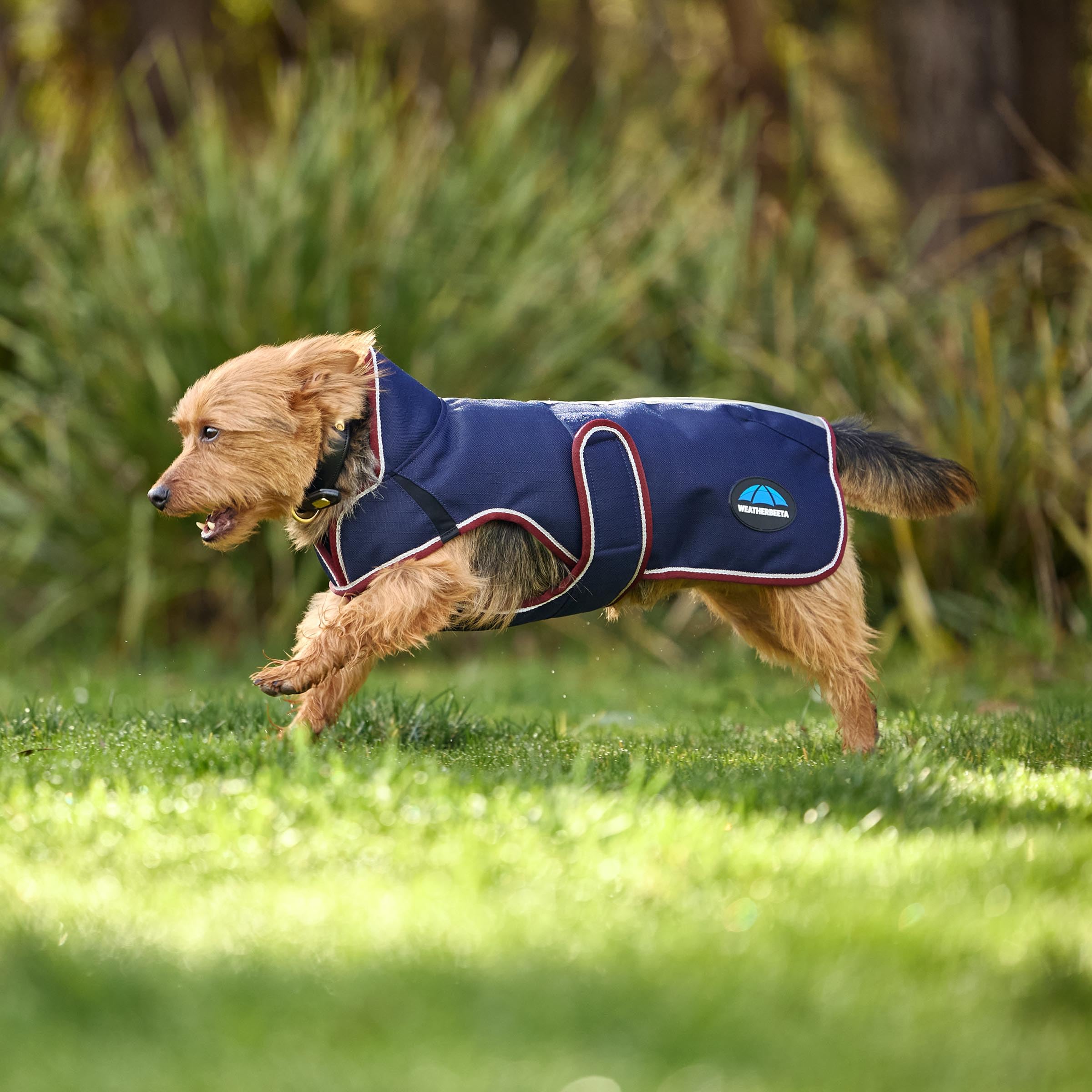 WeatherBeeta ComFiTec Premier Deluxe Hundemantel, wasserdicht, Marineblau/Burgunderrot, 60 cm