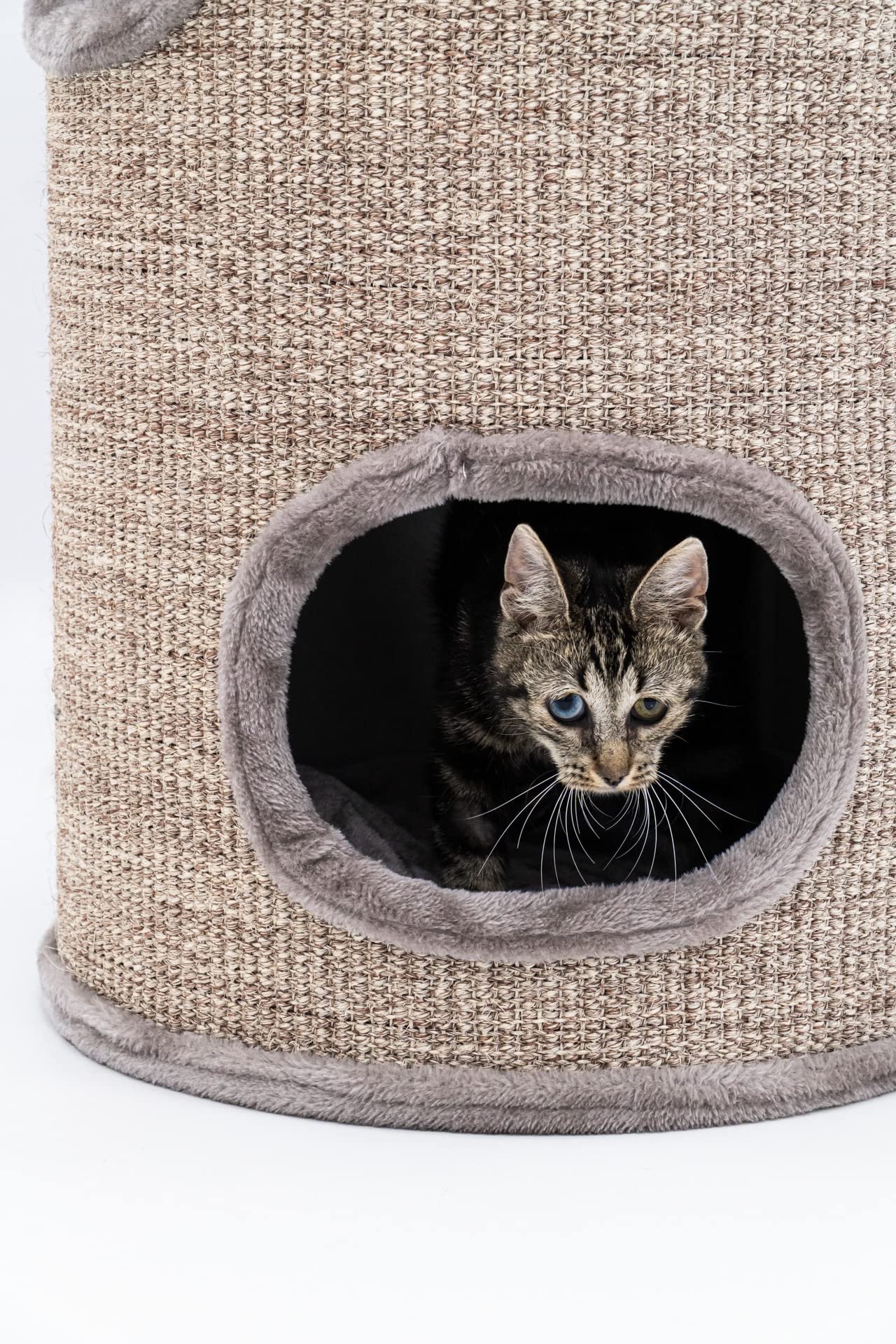 Petrebels Griffoir Dome 80 Cappuccino, Ø 45 x 80 cm de Haut, qualité Premium et Extra Stable/Lourd