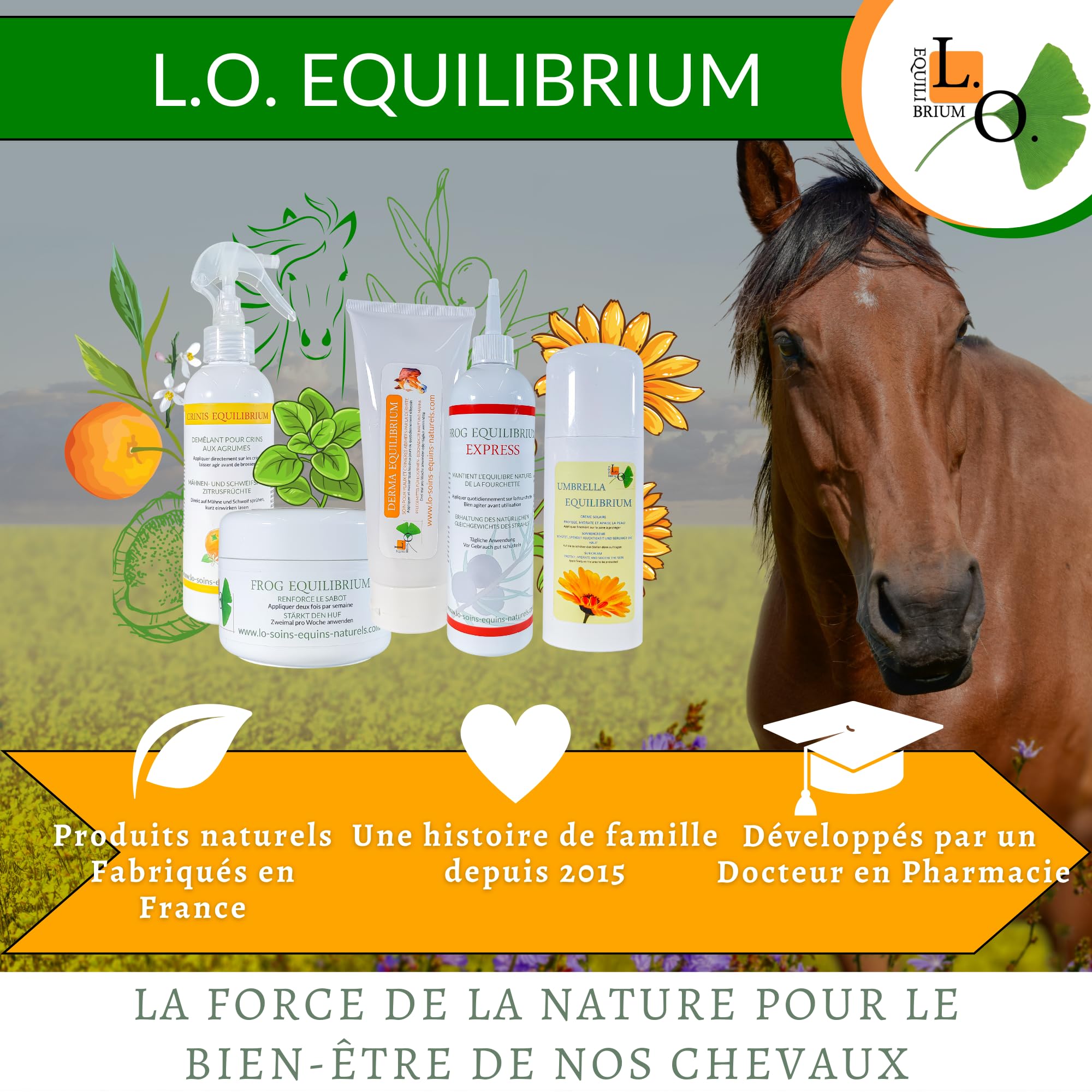 Frog Equilibrium - Soin, Graisse Onguent Naturel pour Sabots pour Cheval (Sabot cassant, infecté, bleime, seime...) - Aux Plantes, Olive, Laurier, Tea-treee, Origan - Toute Saison (250mL)
