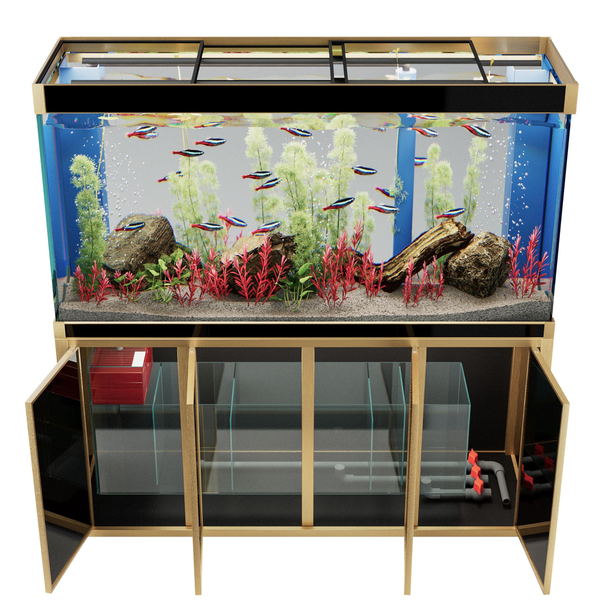 Fish Tank Setup for Freshwater Species: Ultimate Guide to Success