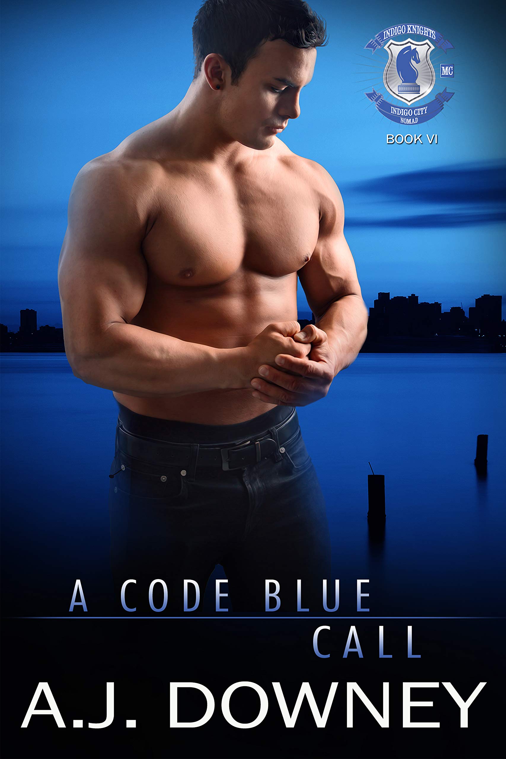 A Code Blue Call: Indigo Knights Book VI