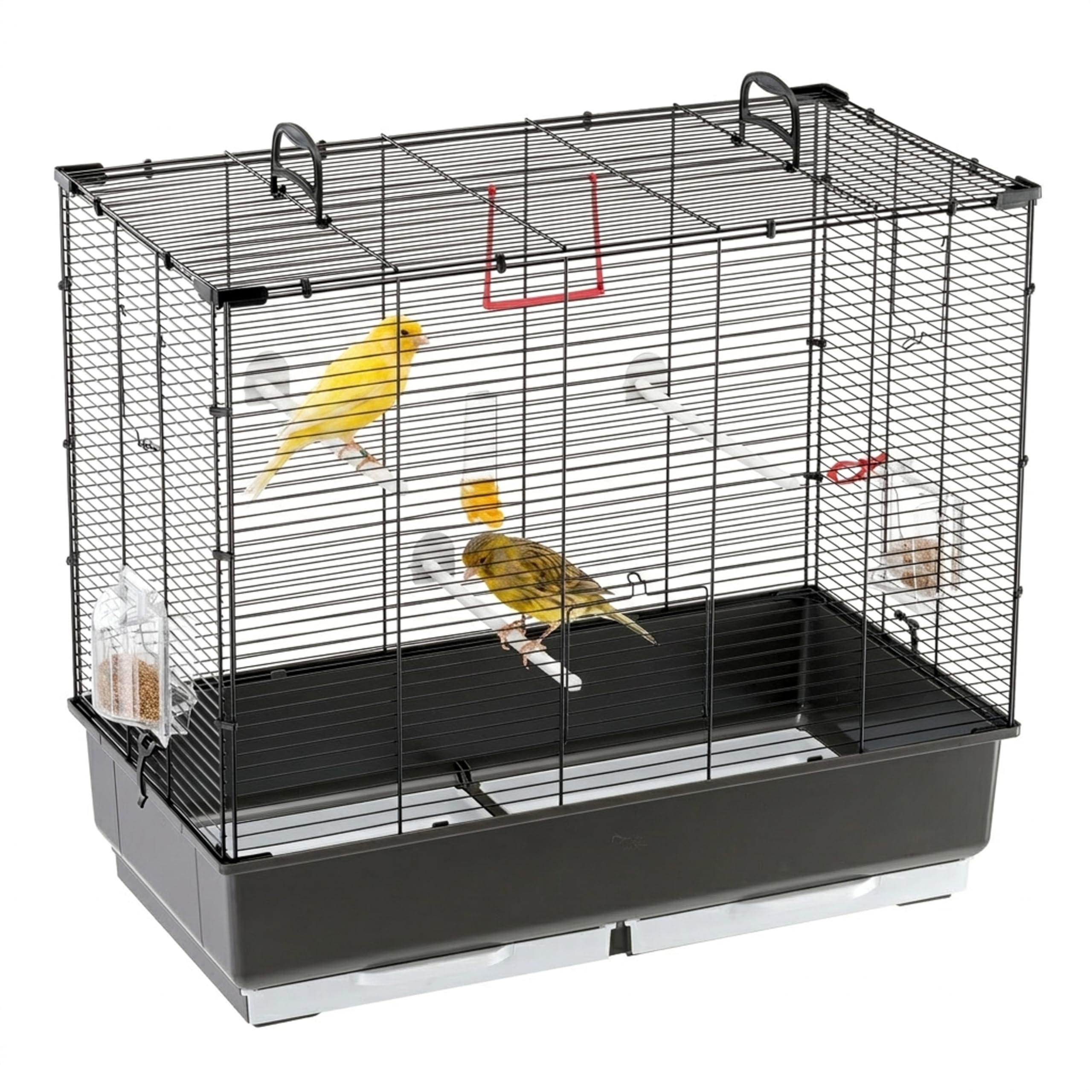 Ferplast Cage à Oiseaux, Canaris, Perruches et Autres Petits Oiseaux Piano 5, livrée avec Accessoires, 70 x 38 x h 62 cm