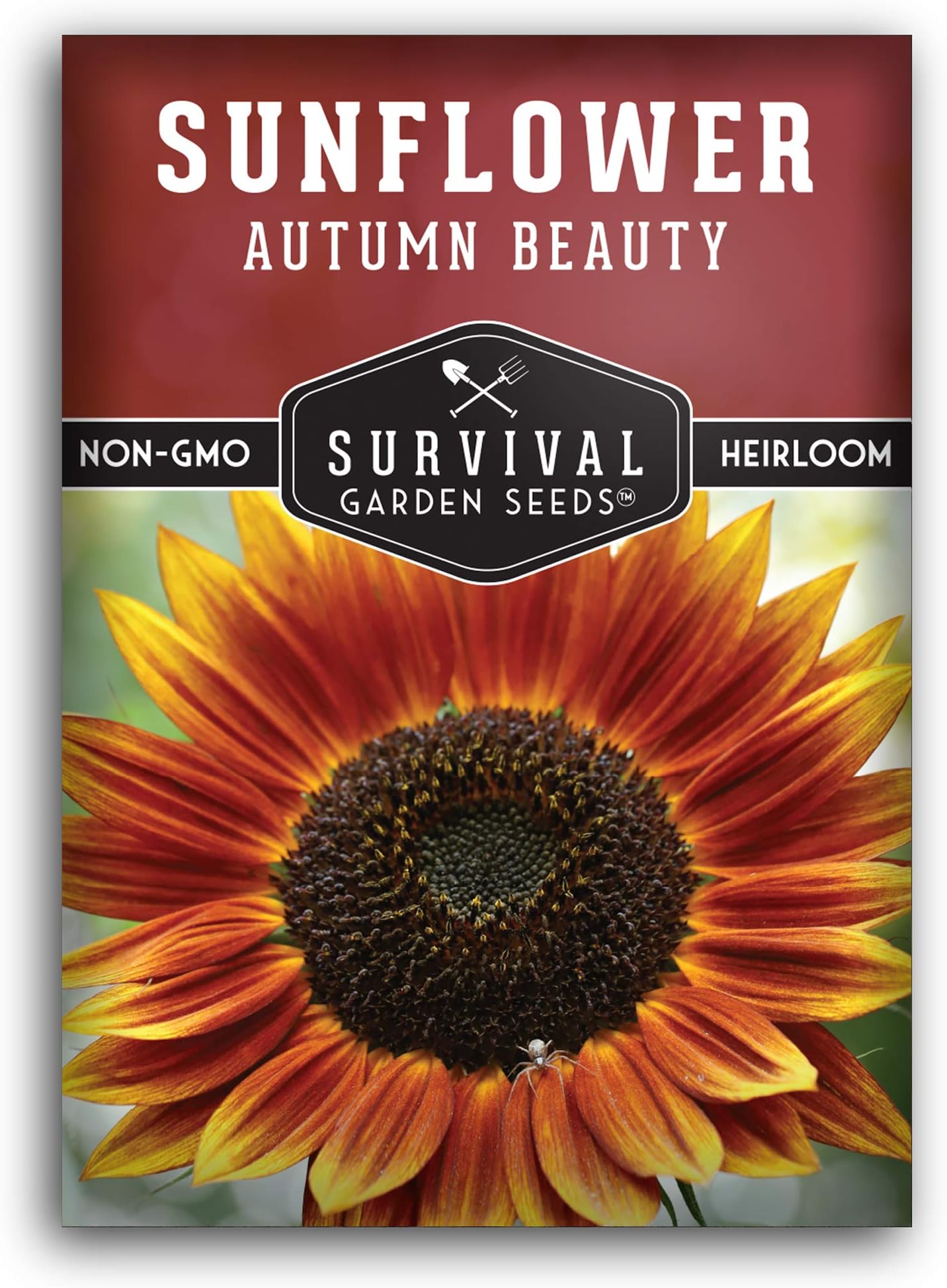 Autumn Beauty Sunflower Seeds for Planting | Vibrant Multi-Color Blooms for Cut Flowers – Heirloom Non-GMO – Survival Garden Seeds (1 Pack)