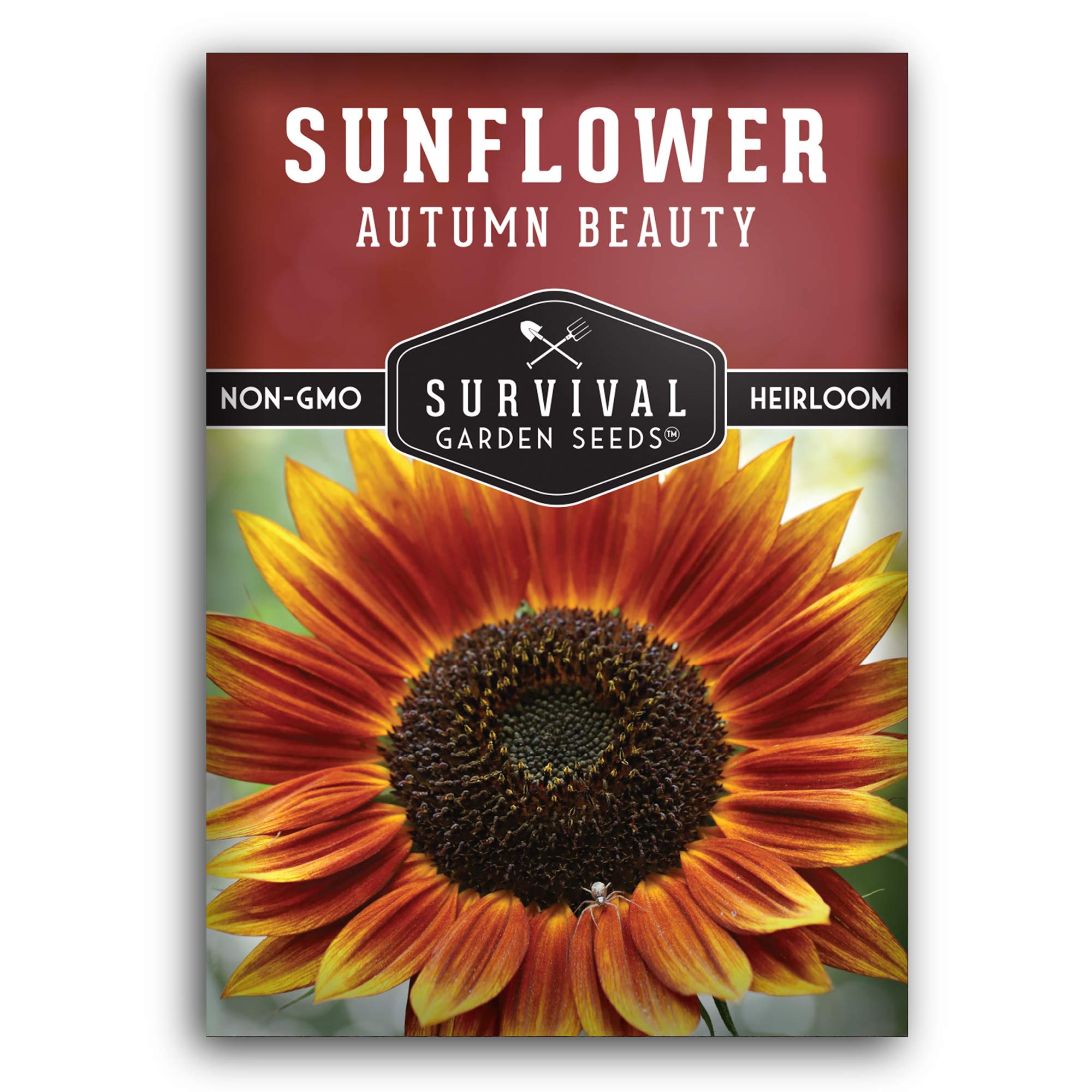 Autumn Beauty Sunflower Seeds for Planting | Vibrant Multi-Color Blooms for Cut Flowers – Heirloom Non-GMO – Survival Garden Seeds (1 Pack)