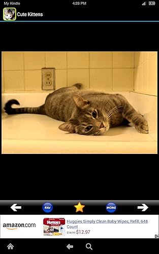 Cute & Adorable Kittens!!! FREE Kitten Meow Pets Wallpapers for Kids! Cat Lovers and World Animal Ki