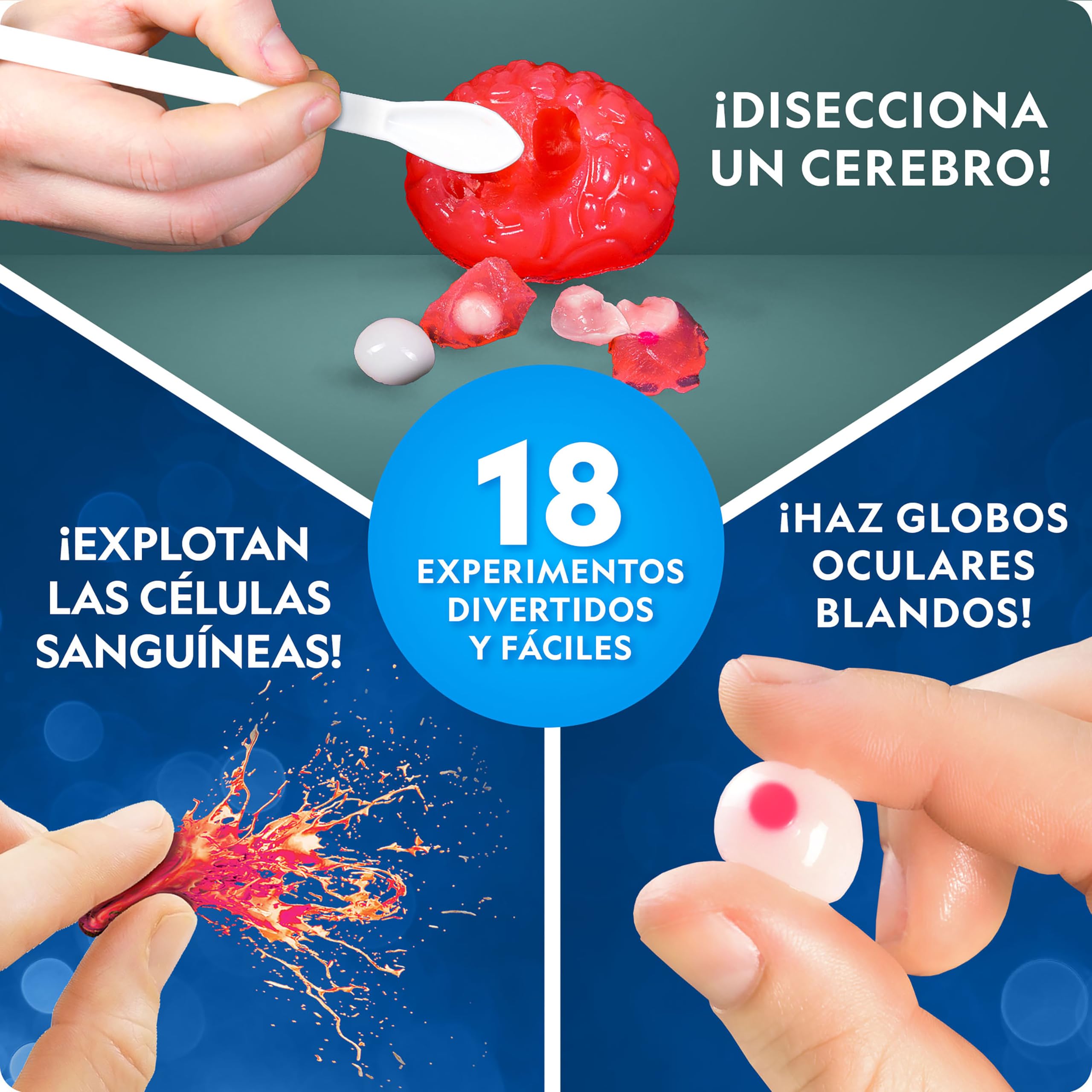 NATIONAL GEOGRAPHIC - Juego de química bruta - 20 experimentos científicos brutos para niños, diseccionar un cerebro, estallar células sanguíneas y más, gran kit de ciencia CTIM para niños