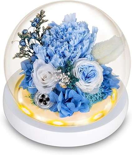 Miniatura 1 de DONODA Regalo de rosa para mujer, regalo de flor de cristal de galaxia con luz en cúpula de cristal, Navidad, Acción de Gracias, día de San