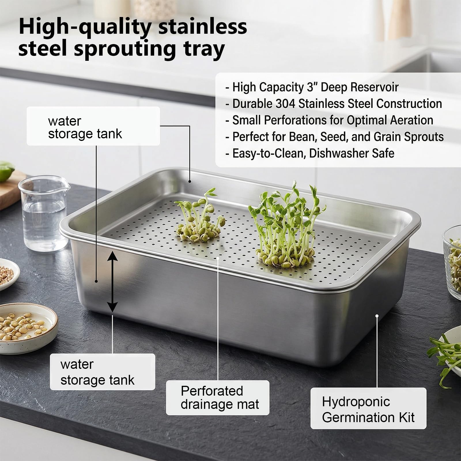 2er Set Sprossen Anzuchtset aus Edelstahl 2 in 1 Keimschalen 26 x 19 cm mit Feinem Edelstahlsieb und Untersetzer für Sprossen Kresse Microgreens Weizengras Wiederverwendbar Rostfrei Spülmaschinenfest