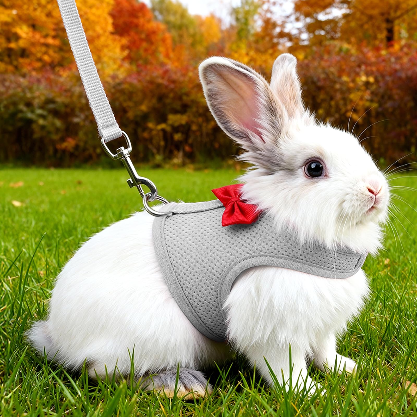 Harnais souple réglable avec laisse élastique pour lapin furet chaton chiot petits animaux gris