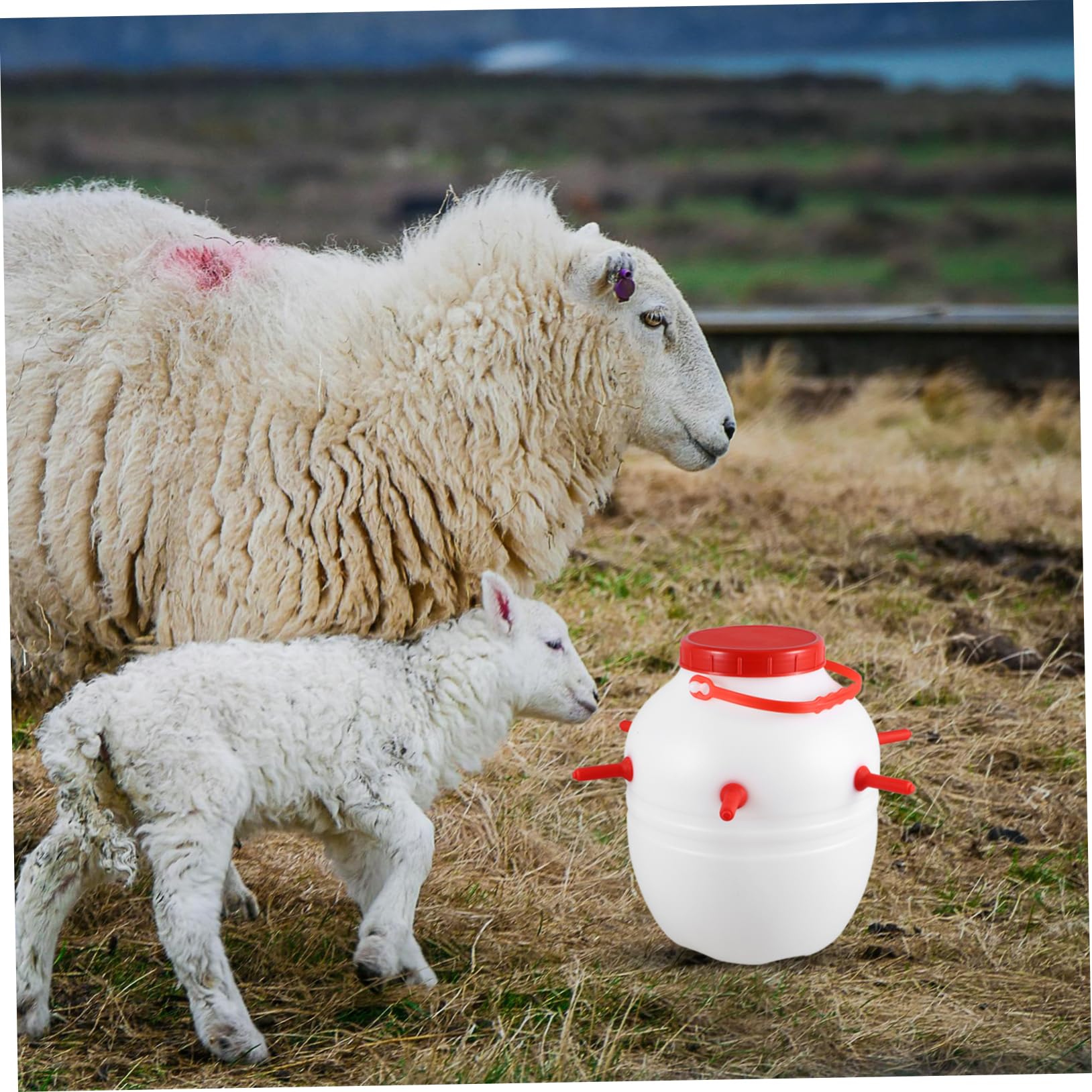 Hohopeti Biberón de para Corderos y Animales Botella de Plástico Gruesa Resistente con Capacidad de Accesorios para Alimentación de Ovejas Perros y Cerdos Alta