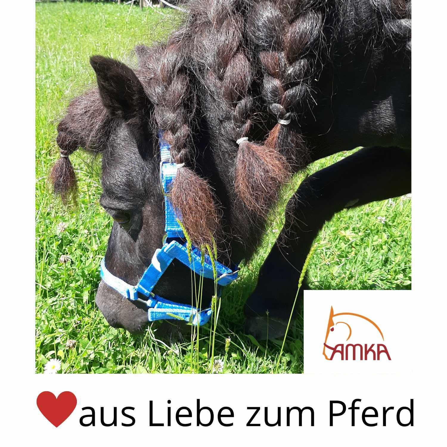 AMKA Ponytrense Wassertrense Pony Gebiss Stärke 12 mm Ringe 50 mm 7,5 8,5 9,5 10,9