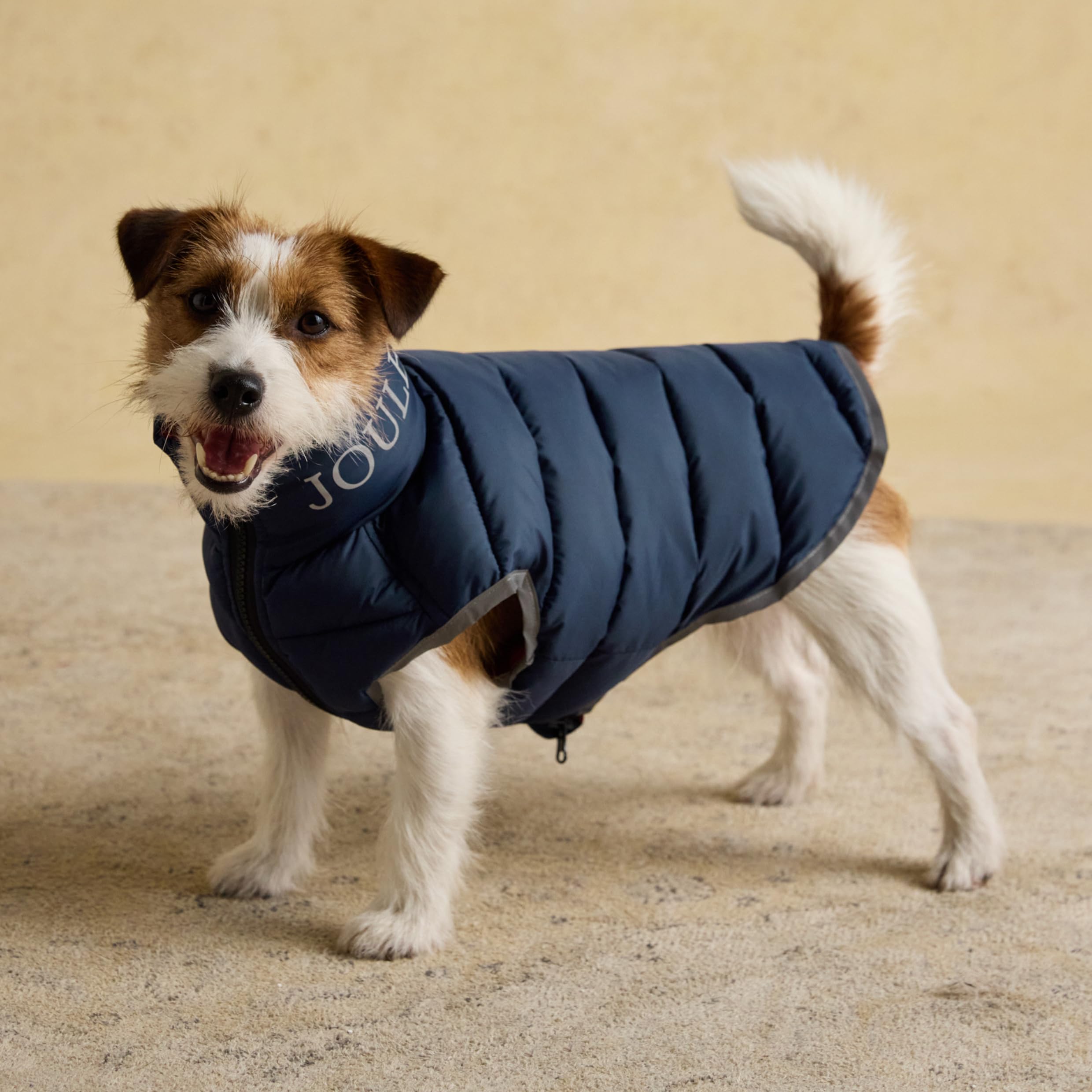 Rosewood x Joules Navy Moorsdale Puffer Dog Coat, Small โ Reversible Winter Jacket with Zip Closure, Warm, Lightweight, Water-Resistant Pet Coat for Small Dogs