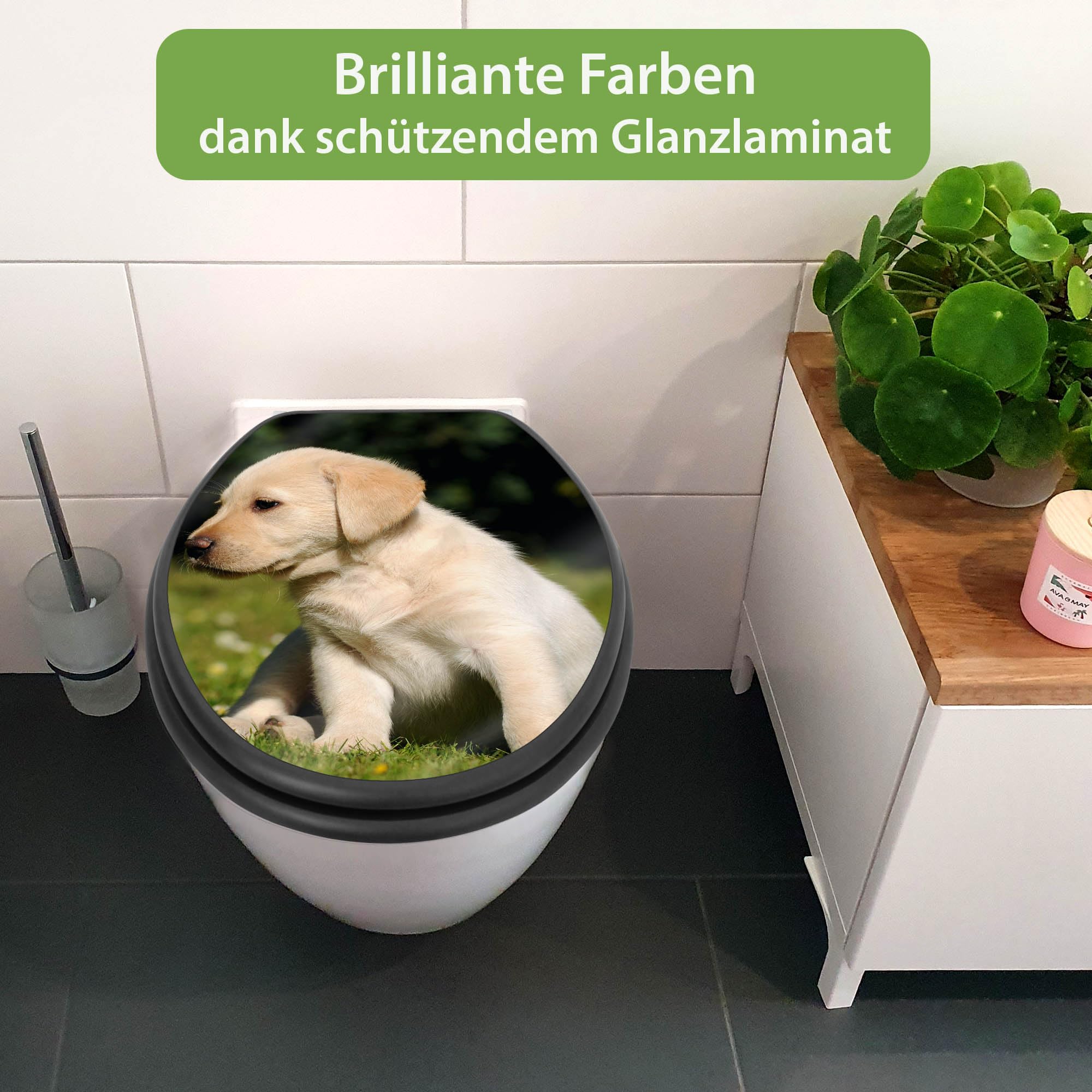 banjado WC Sitz Hunde - mit Absenkautomatik - 38 x 46,5cm O-Form - MDF Holz Toilettendeckel anthrazit - Klositz grau pflegeleicht für Badkomfort - Motiv Labrador