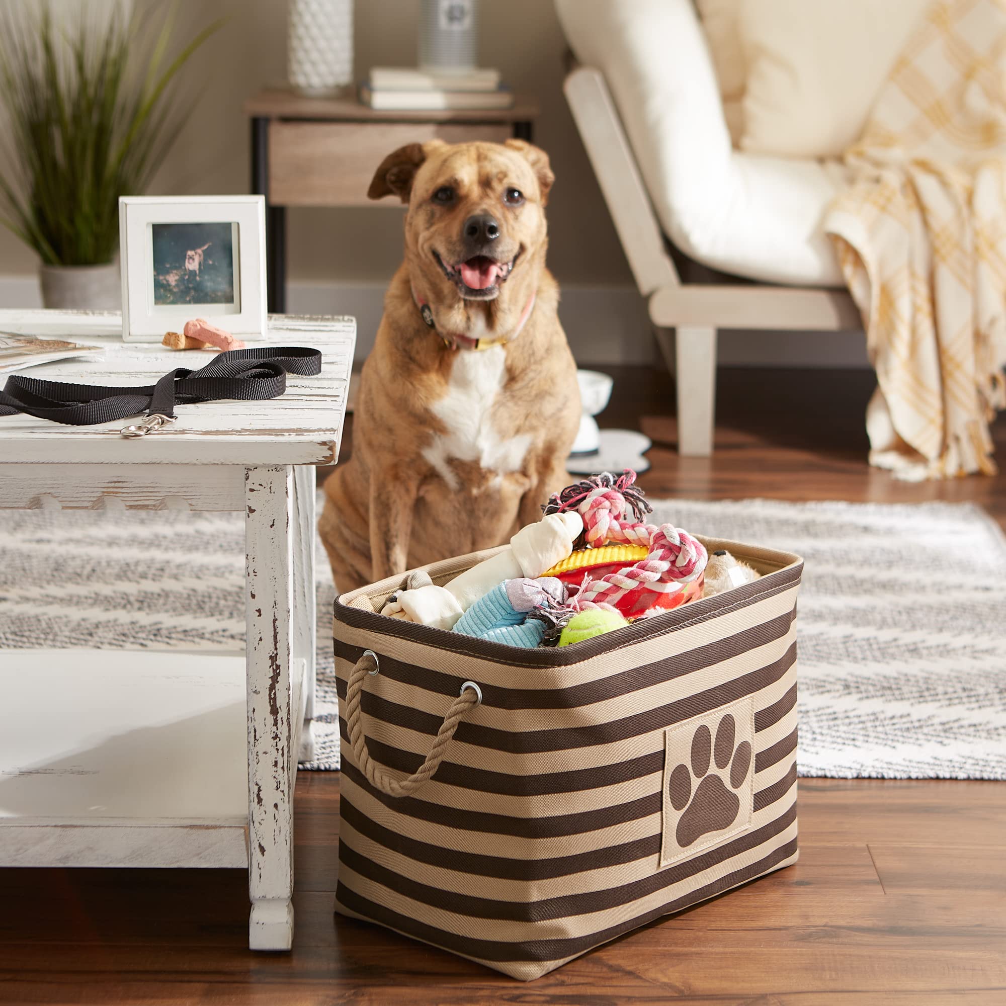 dogs; pet; for; box; storage; basket; dog; toy; toys