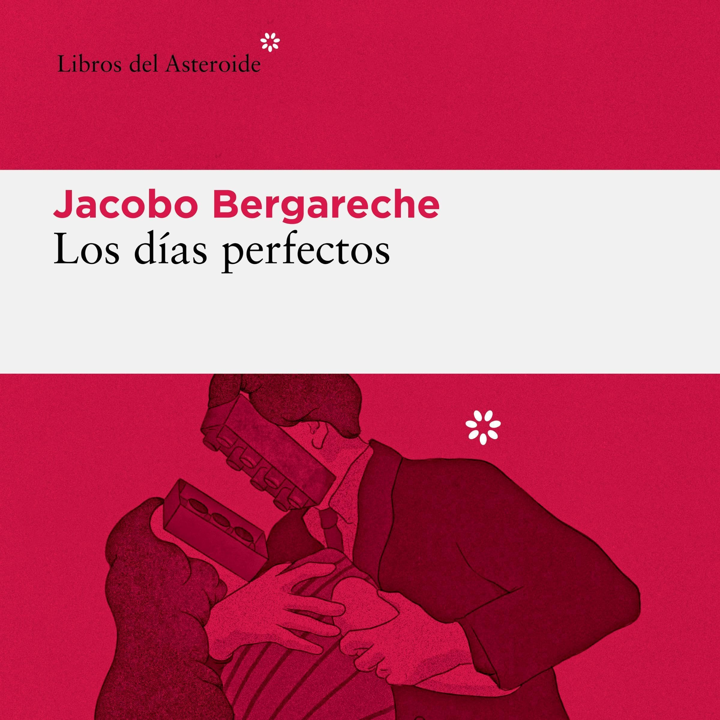 Cover art for Los días perfectos