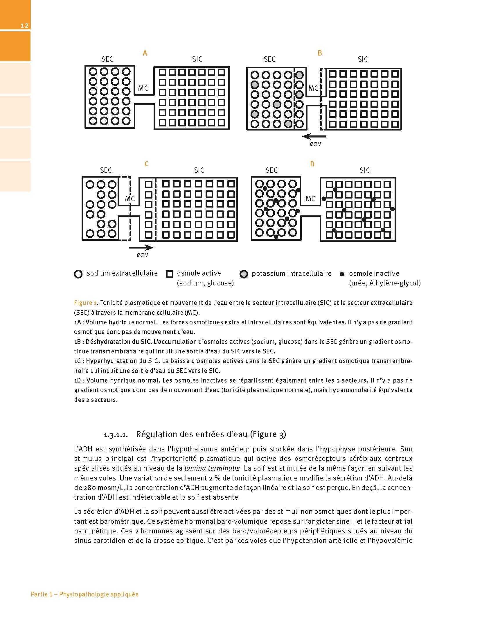 Manuel de nutrition, métabolisme et pathologies digestives appliqués en anesthésie-réanimation et médecine péri-opératoire