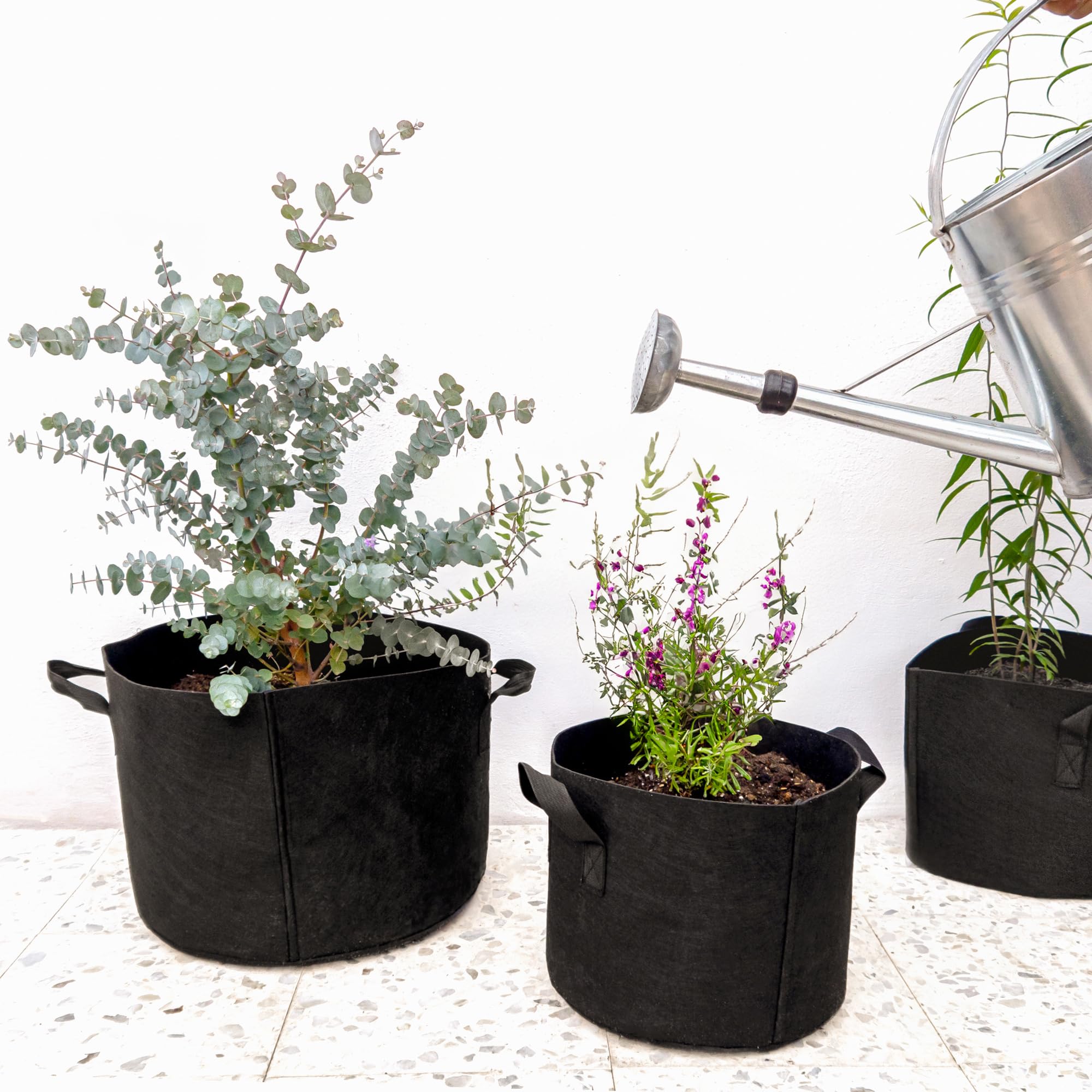 Coltivazioni In Idroponica E In Aeroponica - Casa Naturale - Foto 2