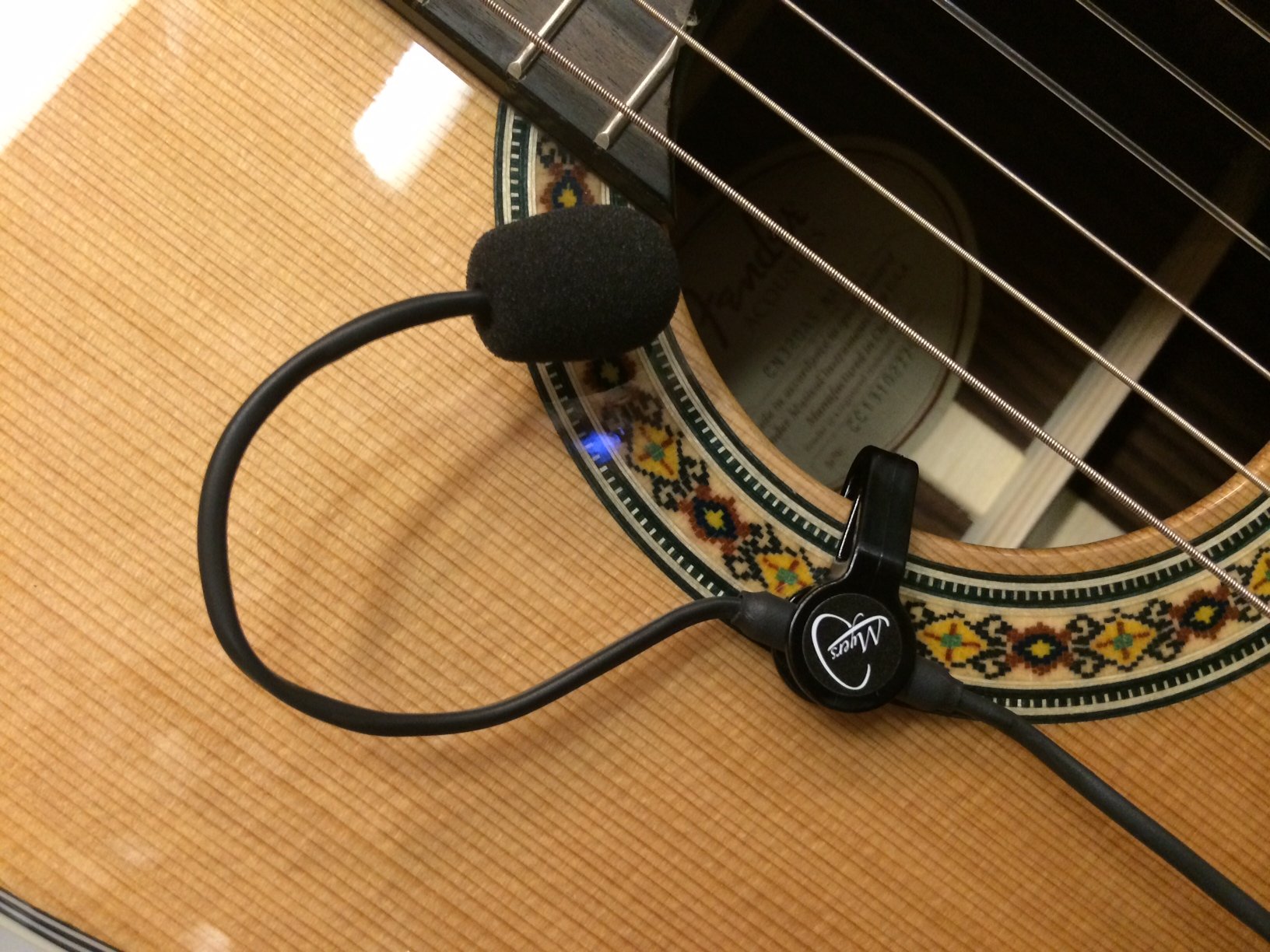 Amazon.com: Myers Pickups The Feather Resonator Pickup with