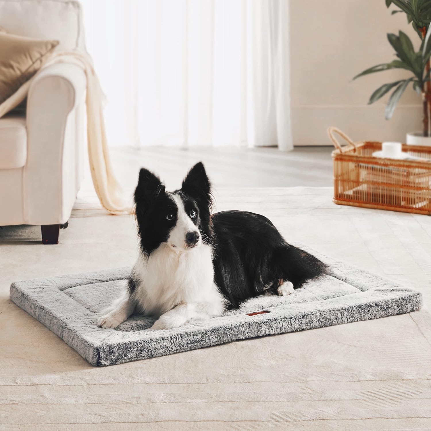 Figopage Stylish Dog Bed for Crate with Removable Machine