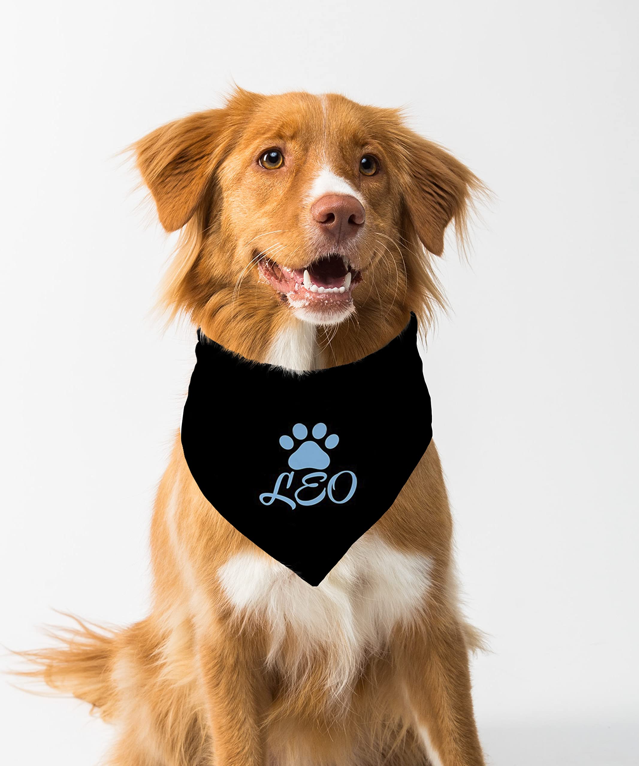 Farnup Adjustable & Comfortable Dog Bandana,Leo, Graphic Printed Bandana for Dogs | Dog Scarf, Accessory | Gifts for Dogs-M/L (B0BVHHB25M) Amazon Price History, Amazon Price Tracker