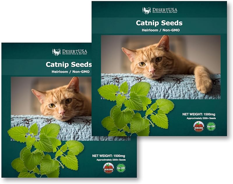 Sementes de Catnip para Plantio DesertUSA, Variedade Heirloom e Livre de OGM, Cultivo Interno ou Externo, 2 Pacotes de 1,5 g