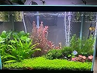 Review Image by Tamariko Tamariko