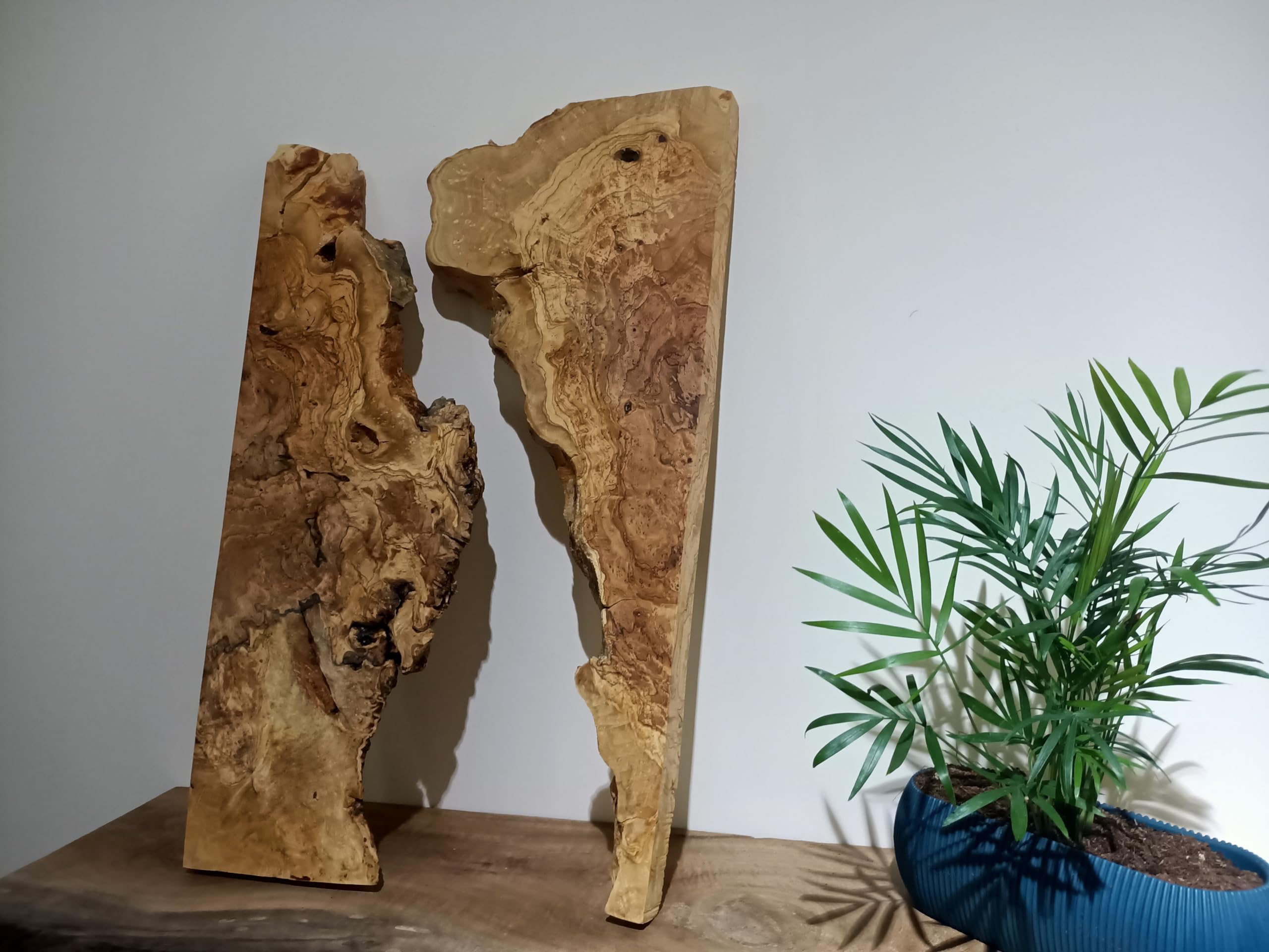Live Edge Olivenholzplatte für Heimwerker und Epoxy-Flusstisch, fertig zum Harztisch, gerodete Holzplatte für Epoxidharz-Holz, Wurzelholz I von skilled hands (2), WS02