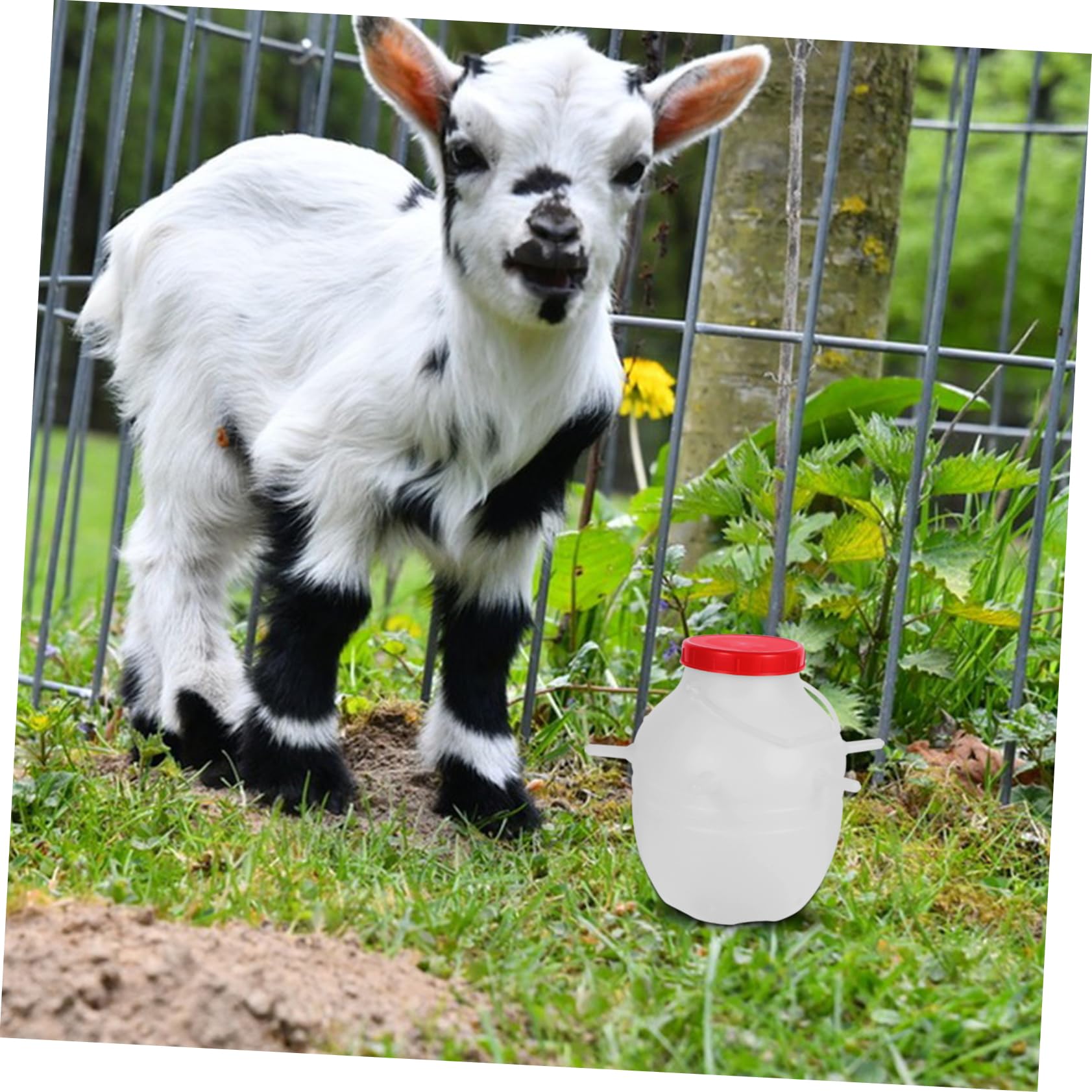 Biberon per Agnelli 8000ml Bianco in Plastico e Silicone | Riutilizzabile, Design Creativo, Alimentazione Comoda e Sicura, Capacità Grande