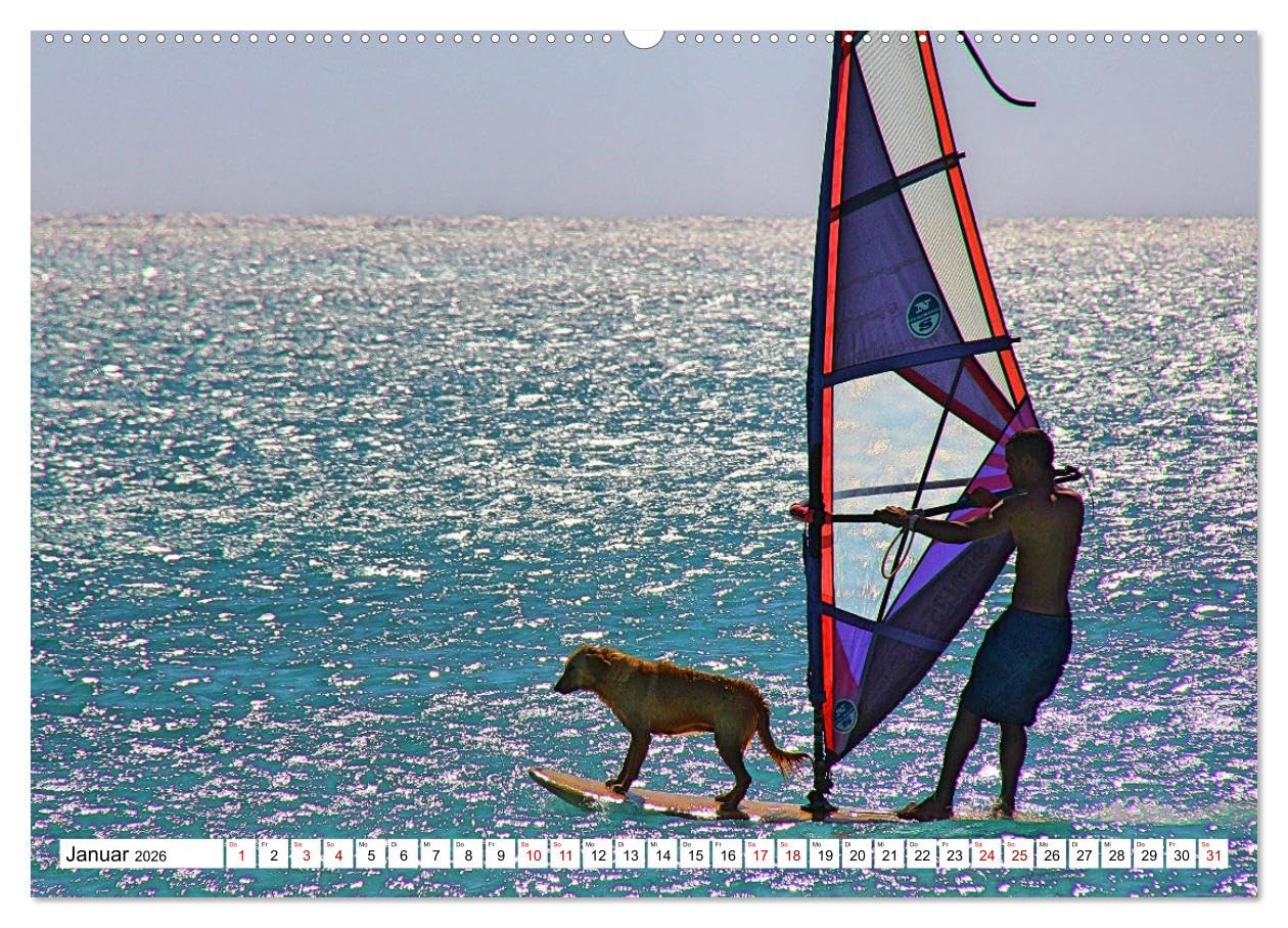 Funsport Windsurfen (hochwertiger Premium Wandkalender 2026 DIN A2 quer), Kunstdruck in Hochglanz: Atemraubenden Surfszenen, aufgenommen an traumhaften Surfspots (CALVENDO Sport)