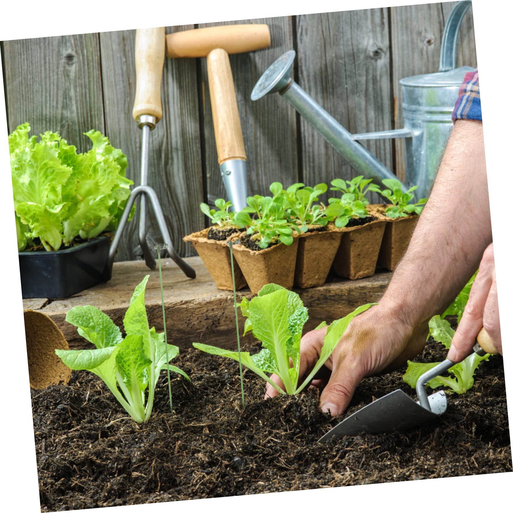 Abaodam 3 Sätze Pflanzenstützrahmen Blumen- eingetopft Stützgestell für Kletterpflanzen Einsätze Pflanzenpfähle Hochleistungs-Gartenpfähle kleine Gartenpfähle Plastik Green