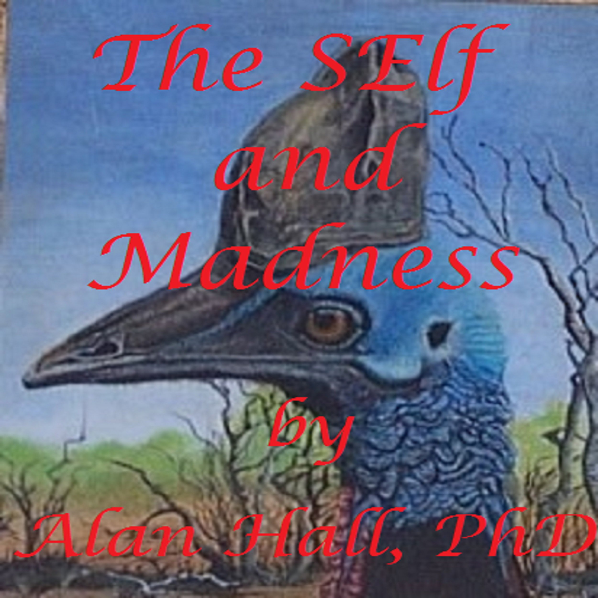 Cover art for The Self and Madness
